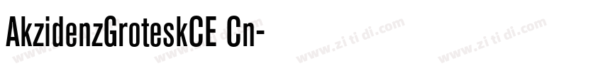 AkzidenzGroteskCE Cn字体转换